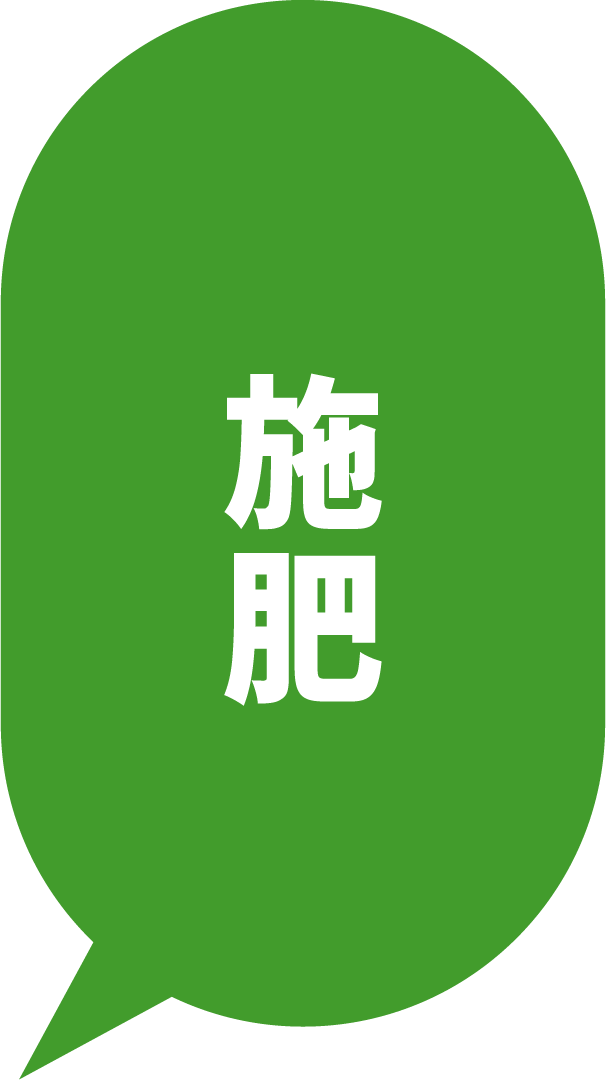 施肥