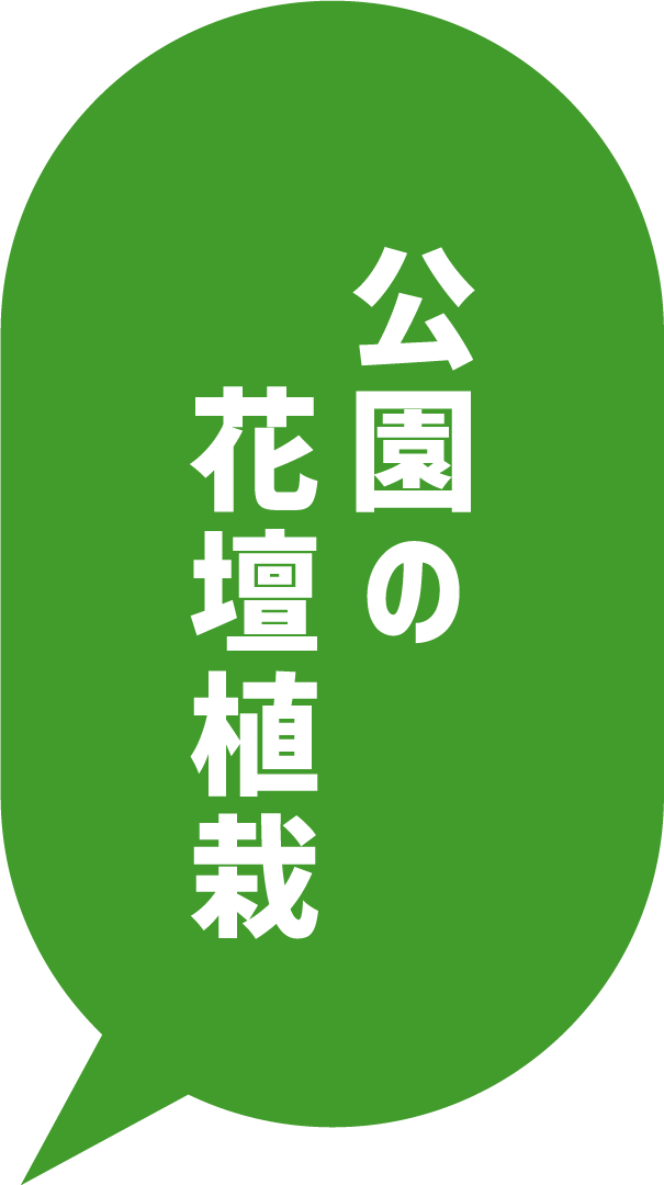 公園の花壇植栽り