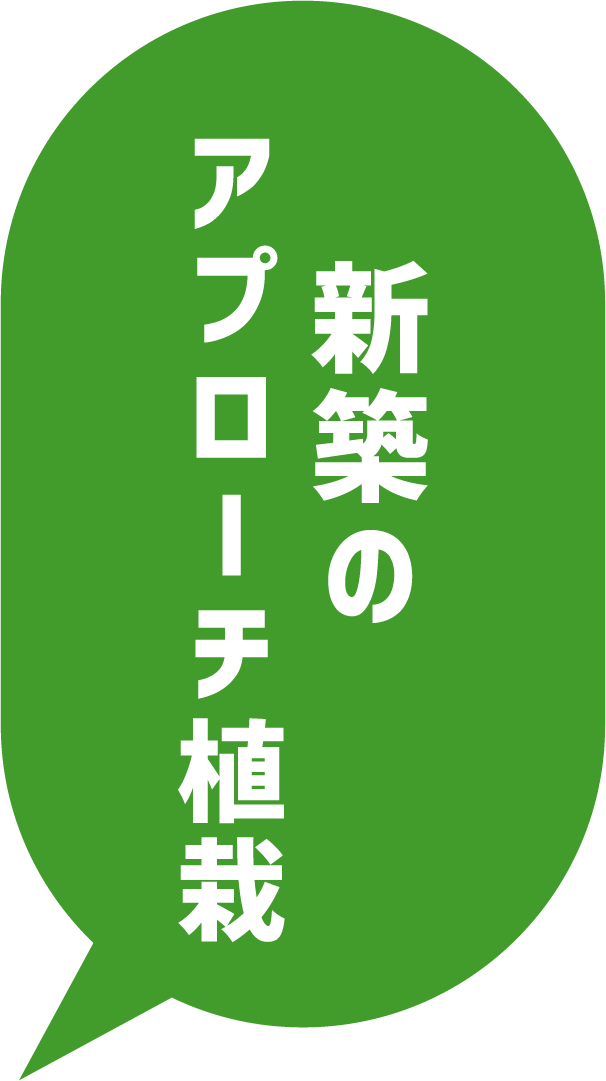 新築のアプローチ植栽